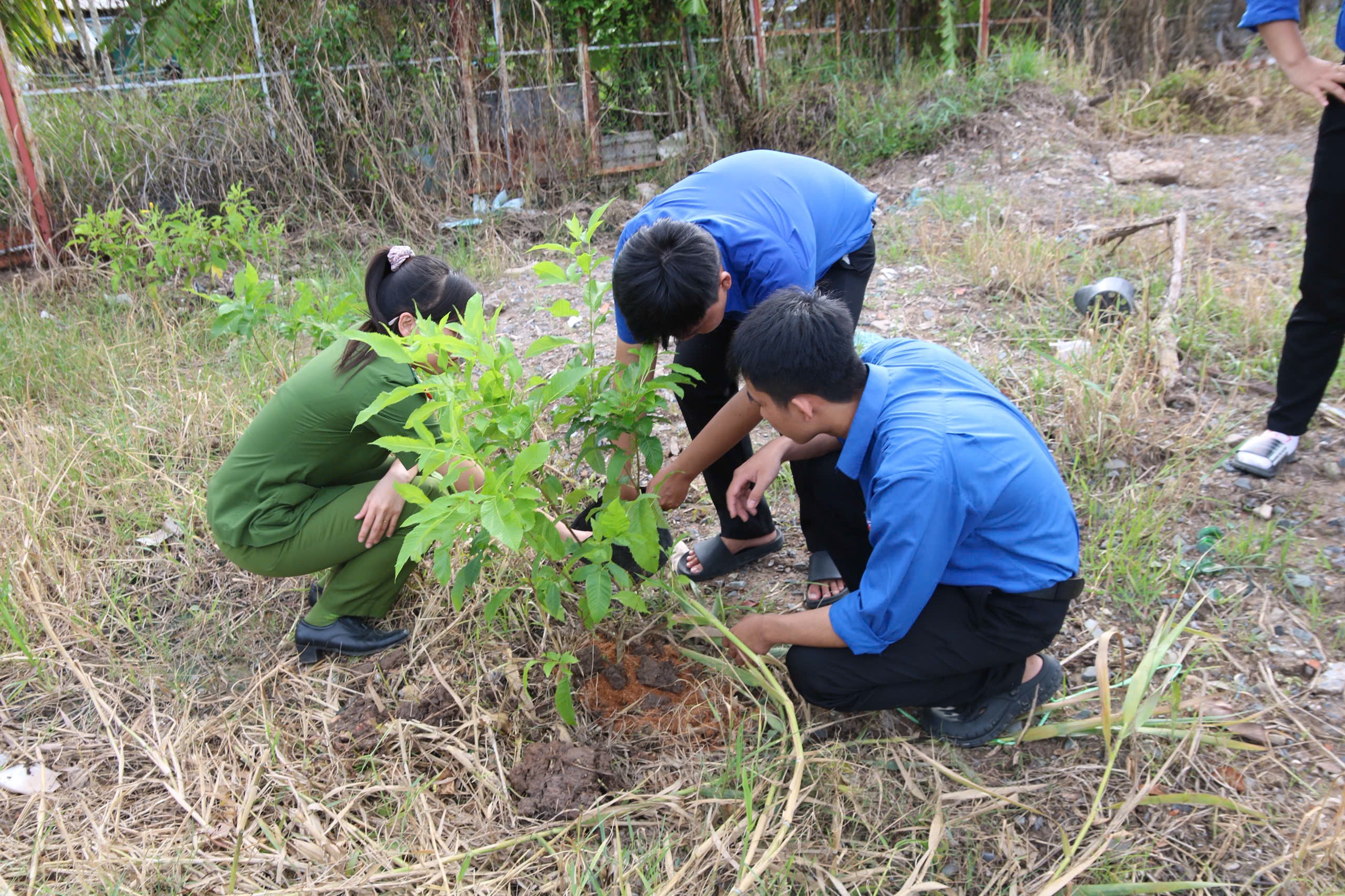 CHUNG TAY KIẾN TẠO MẢNG XANH – VÌ MỘT MÔI TRƯỜNG XANH, SẠCH, ĐẸP