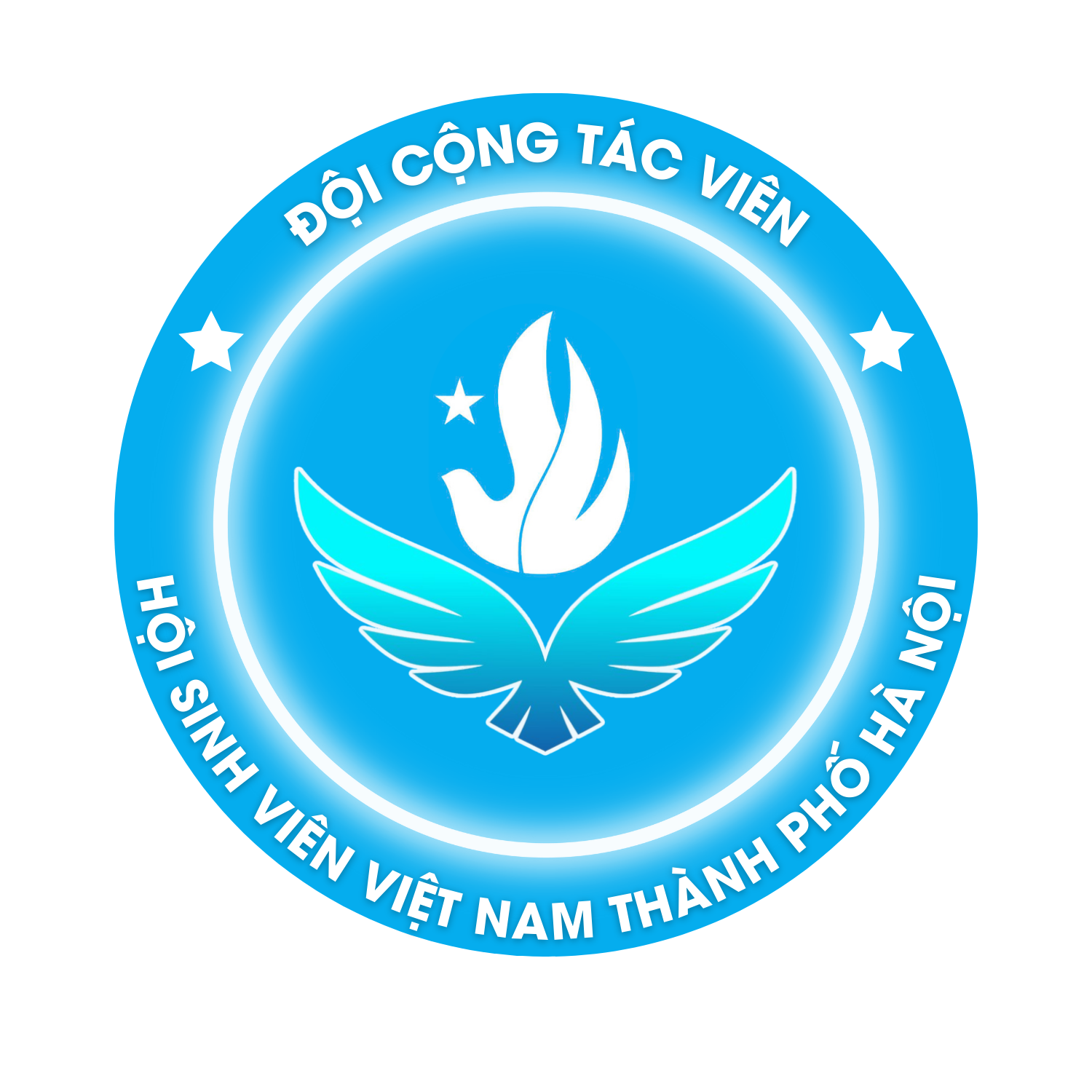 Đội CTV Hội Sinh viên Việt Nam thành phố Hà Nội