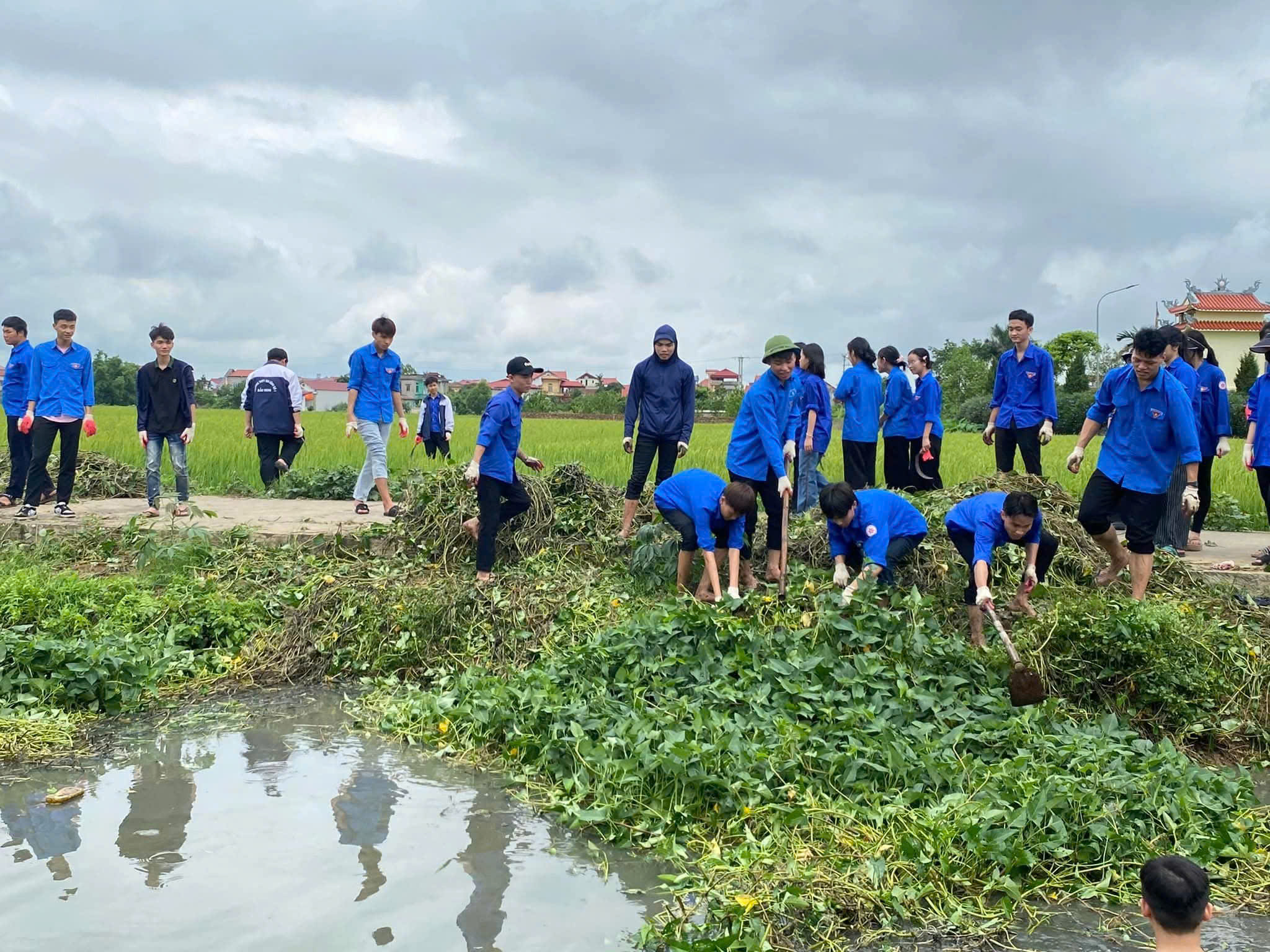 Đội hình tình nguyện hè Trường Cao đẳng Cơ điện và Xây dựng Bắc Ninh