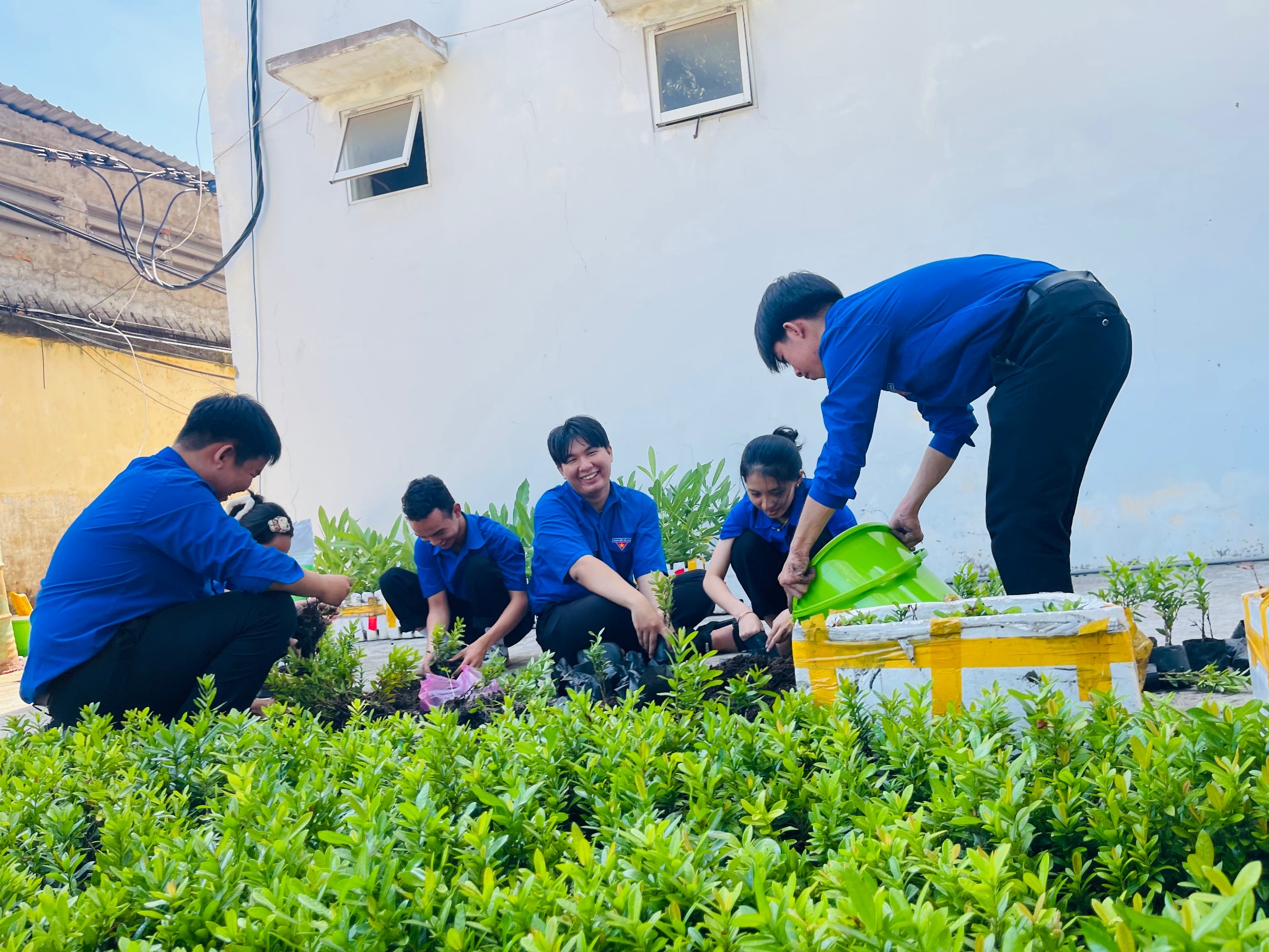 🌺 LAN TỎA SẮC XANH TUỔI TRẺ TỪ CÔNG TRÌNH THANH NIÊN "TUYẾN ĐƯỜNG HOA" 🌺