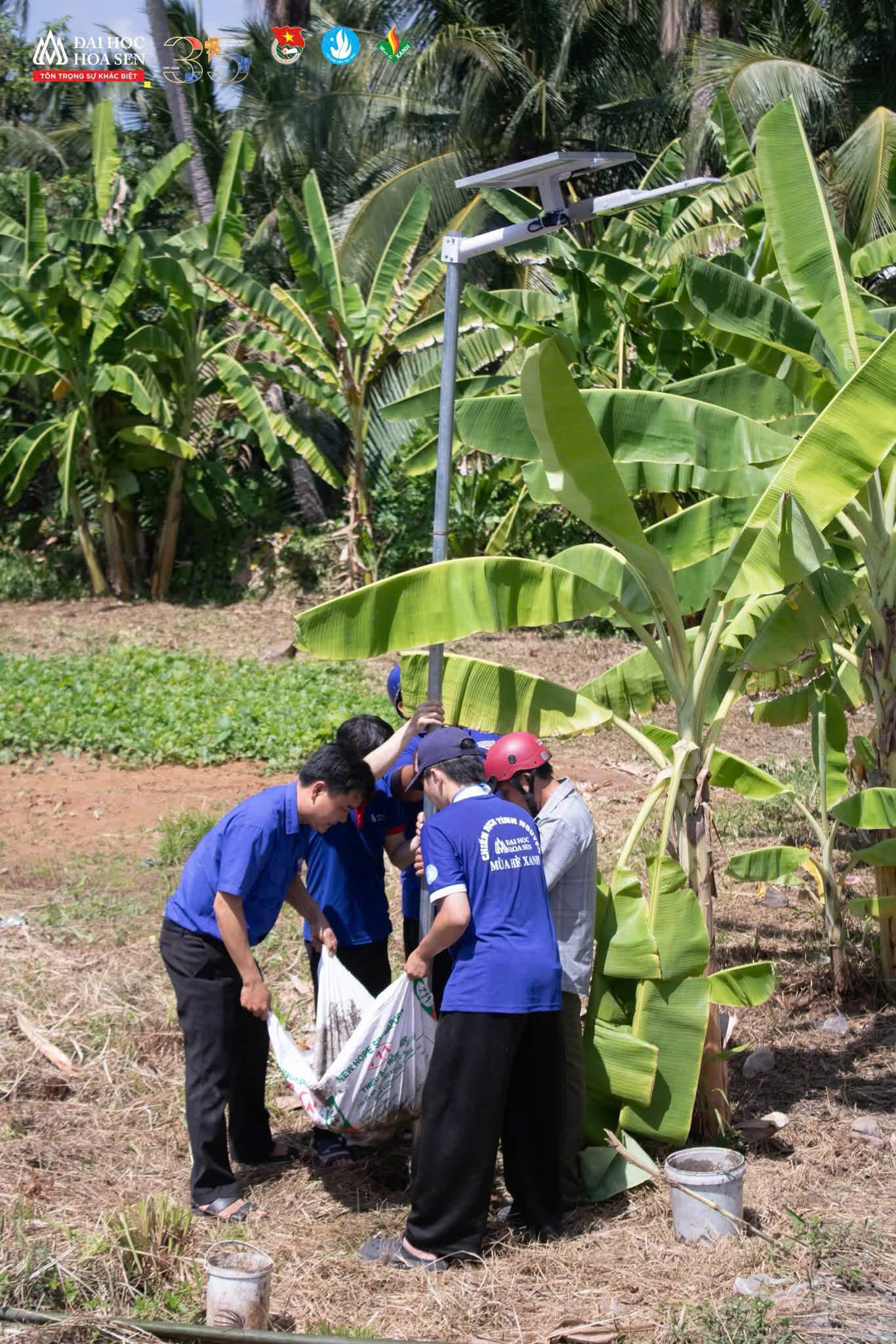 LẮP ĐẶT TUYẾN ĐÈN ĐƯỜNG