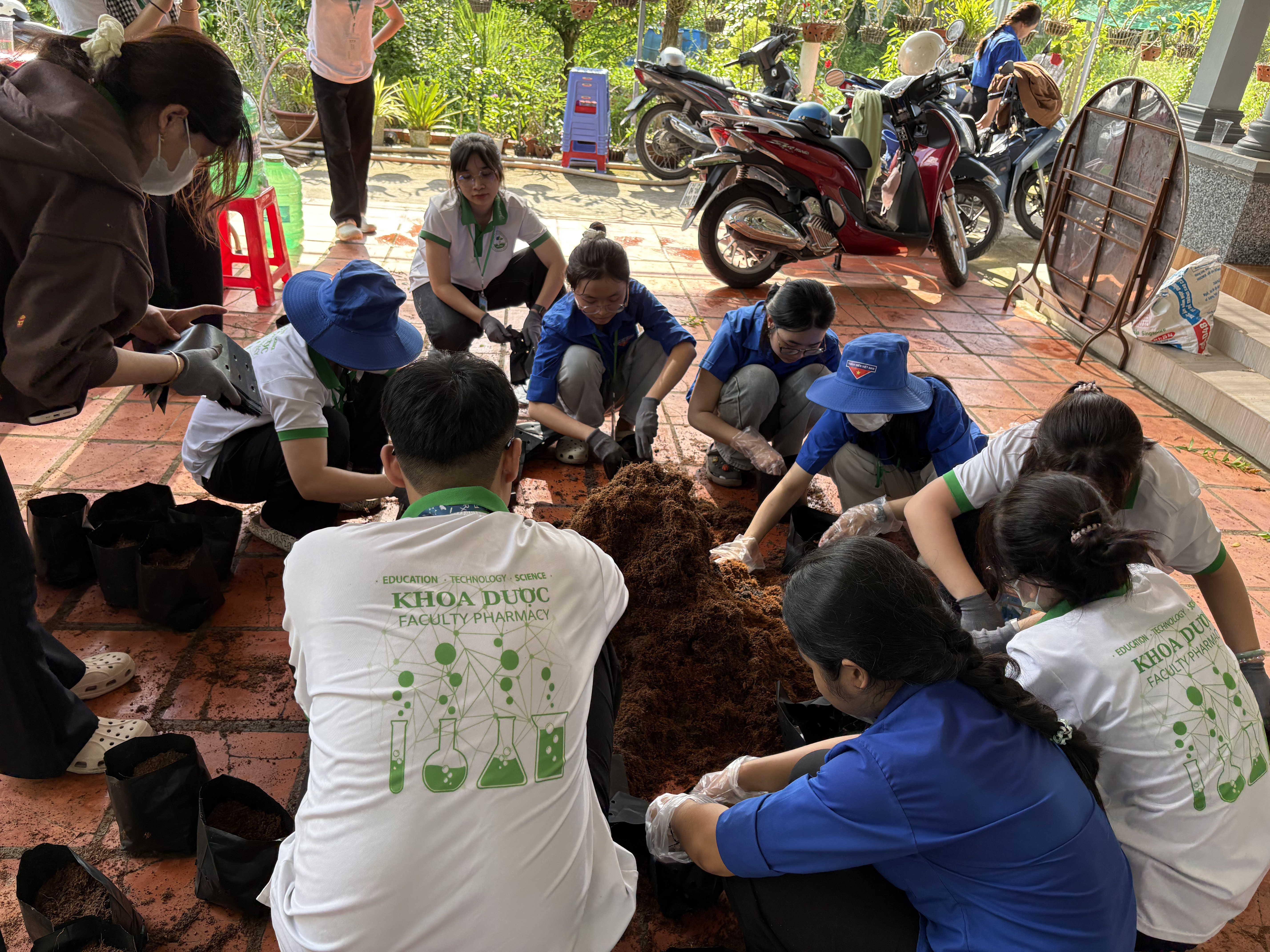 Uơm mầm 100 cây giống