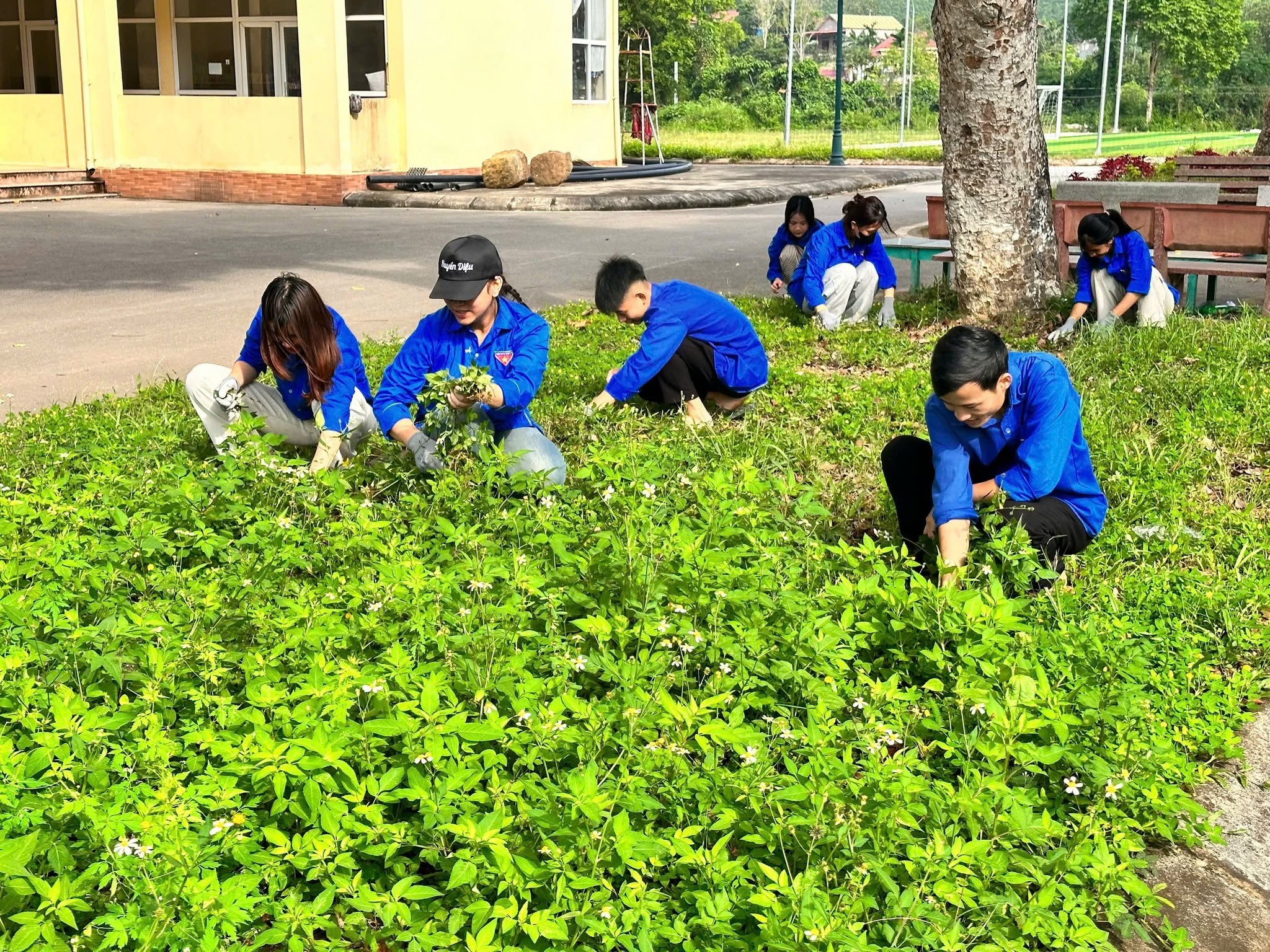 Tình nguyện hè 2026