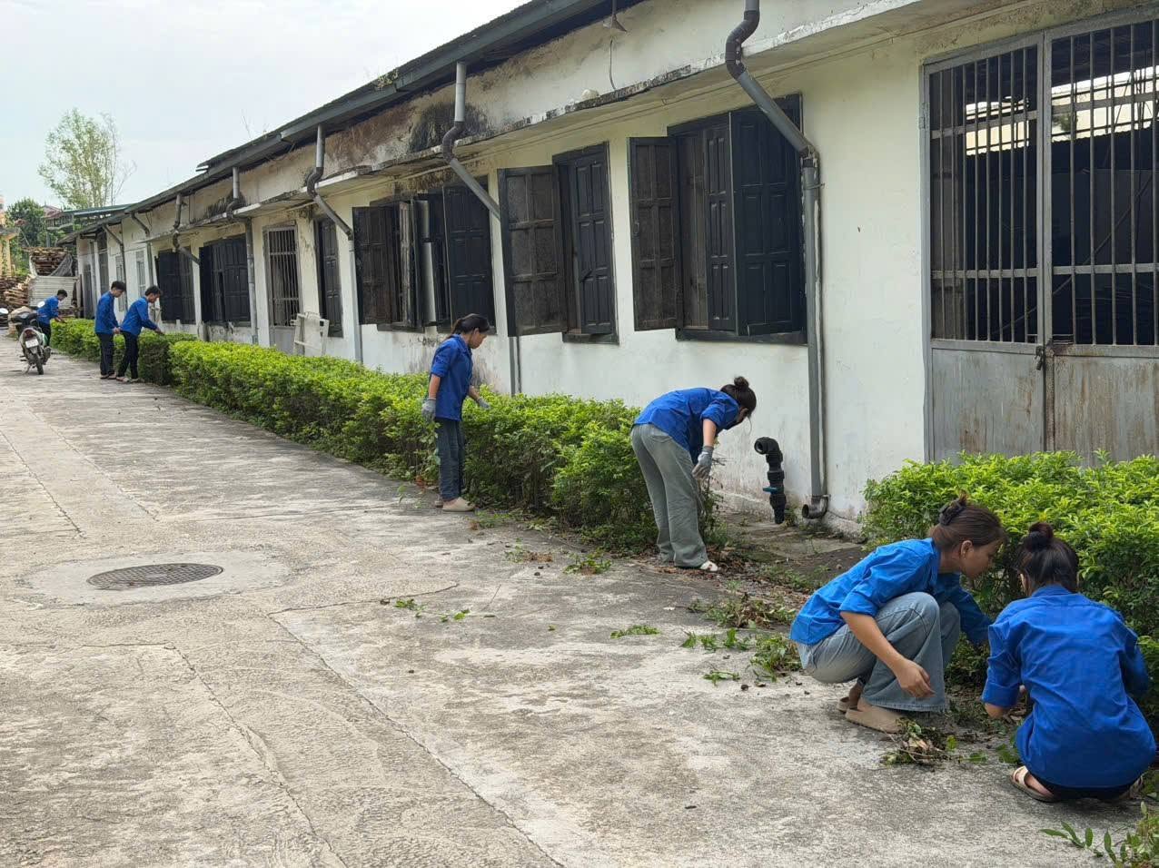 TUỔI TRẺ CHUNG TAY BẢO VỆ MÔI TRƯỜNG