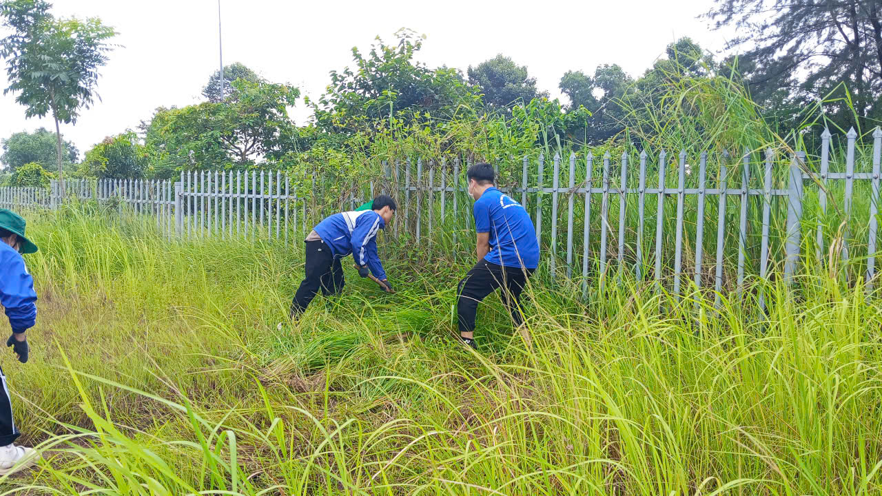 Hiện trạng tuyến đường số 14 cần được phát quang, vệ sinh.