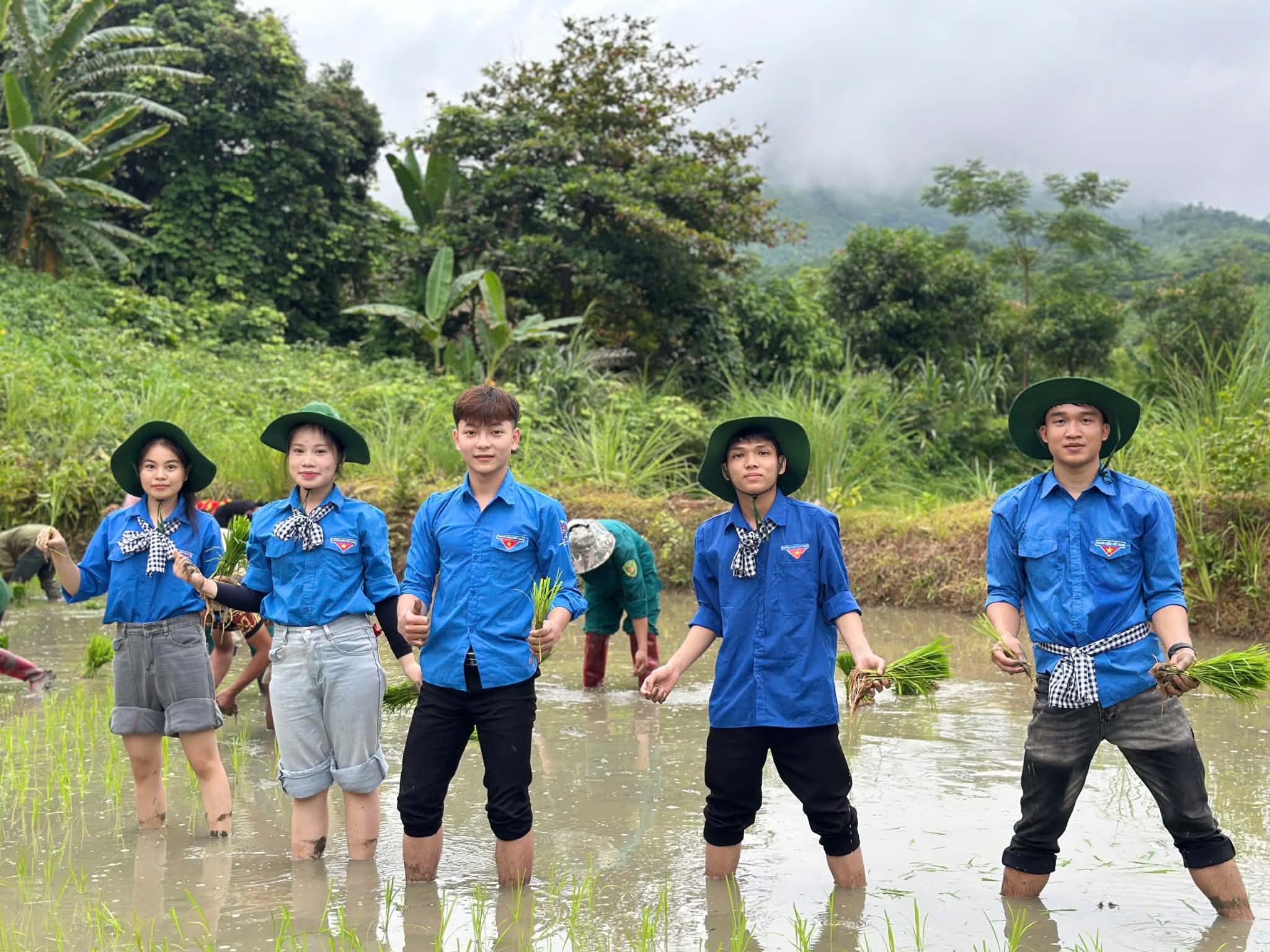 Hỗ trợ người dân cấy lúa vụ mùa