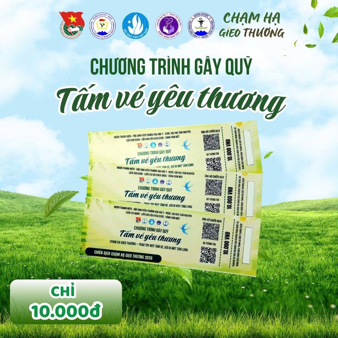 Quá trình hoạt động